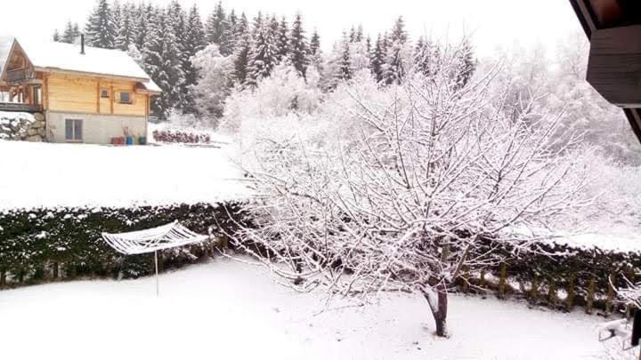 Chalet Trois Etoiles Ксонруп-Лонжеме Екстериор снимка